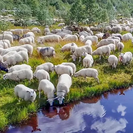 Fidjeland Сasa de vacaciones *